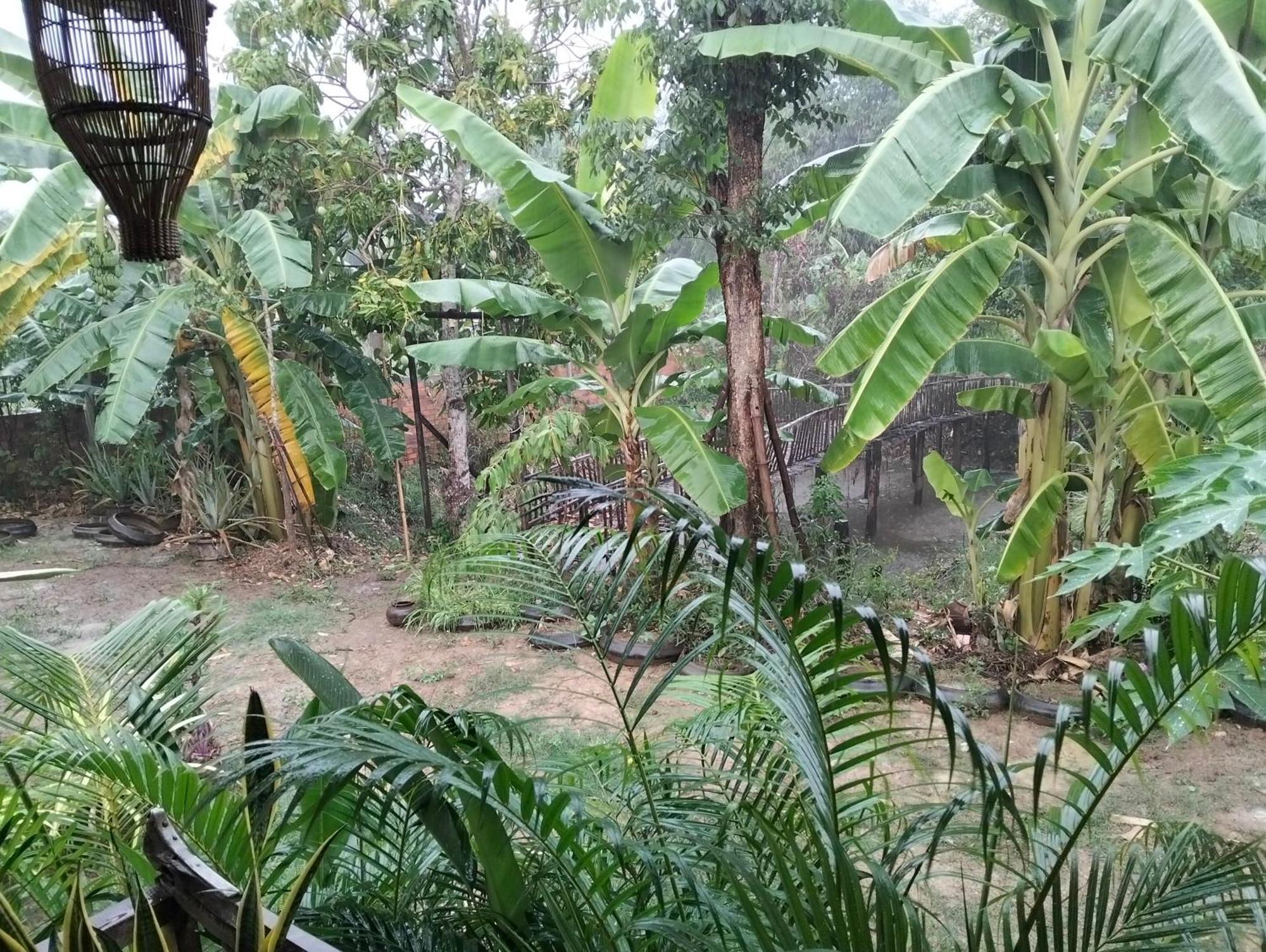 Odambang Village Homestay Μπατταμπάνγκ Εξωτερικό φωτογραφία